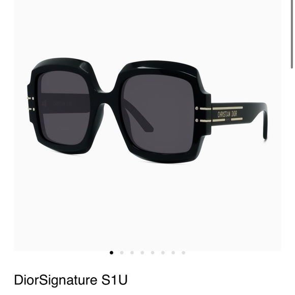 Dior Accessories - DiorSignature S1U